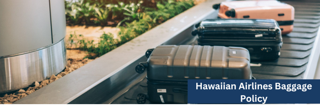 Hawaiian Airlines Baggage Policy