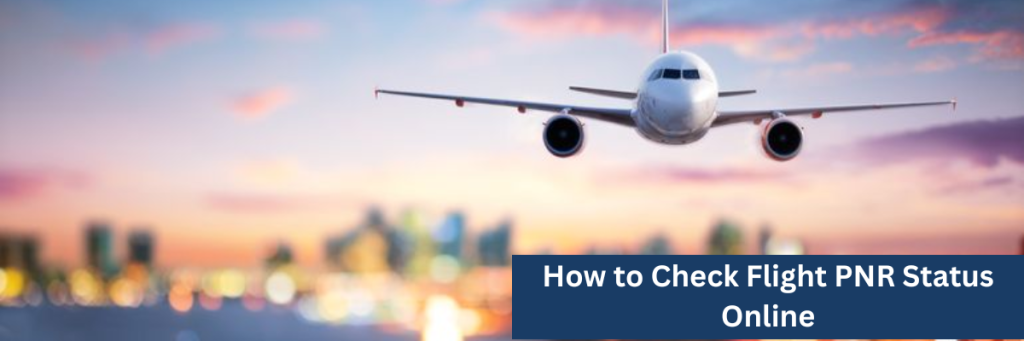 How to Check Flight PNR Status Online